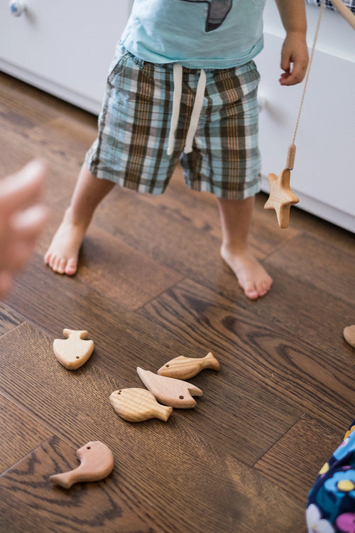 Wooden Magnetic Fishing Game for Kids, 4 types of Wood