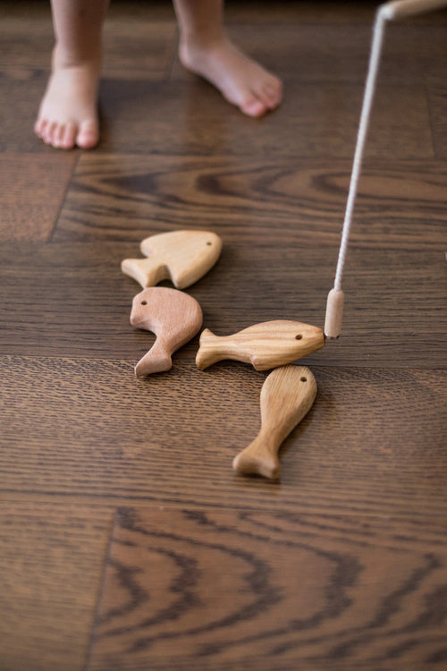 Wooden Magnetic Fishing Game for Kids, 4 types of Wood